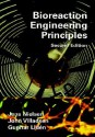 Bioreaction Engineering Principles - Jens Nielsen