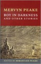 Boy in Darkness and Other Stories - Mervyn Peake, Joanne Harris, Maeve Gilmore