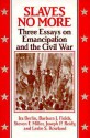 Slaves No More: Three Essays on Emancipation and the Civil War - Ira Berlin