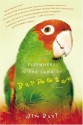 Elsewhere in the Land of Parrots - Jim Paul