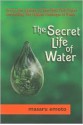 The Secret Life of Water - Masaru Emoto, David Thayne