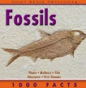 1000 Facts On Fossils (1000 Facts On...) - Chris Pellant, Helen Pellant