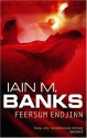 Feersum Endjinn - Iain M. Banks