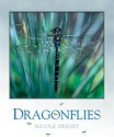 Dragonflies - Nicole Helget