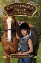 Take the Reins - Jessica Burkhart