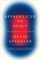 Apprenticed To Spirit: The Education of a Soul - David Spangler