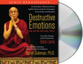 Destructive Emotions: How Can We Overcome Them?: A Scientific Dialogue with the Dalai Lama - Daniel Goleman, Dalai Lama XIV, Ed Levin