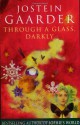 Through a Glass, Darkly - Jostein Gaarder, Elizabeth Rokkan