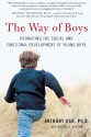 The Way of Boys: Promoting the Social and Emotional Development of Young Boys - Anthony Rao, Michelle Seaton