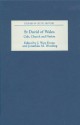 St. David of Wales: Cult, Church and Nation: Cult, Church and Nation (Studies in Celtic History) - J. Wyn Evans, Jonathan M. Wooding