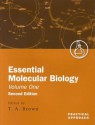 Essential Molecular Biology: A Practical Approach Volume I - T.A. Brown