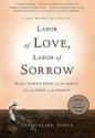 Labor of Love, Labor of Sorrow - Jacqueline Jones