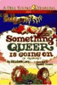 Something Queer is Going On - Elizabeth Levy