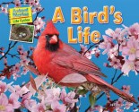 A Bird's Life - Ellen Lawrence