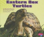 Eastern Box Turtles (Pebble Plus: Reptiles) - Elizabeth Thomas