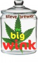 The Big Wink - Steve Brewer