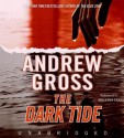 The Dark Tide (Audio) - Andrew Gross, Melissa Leo