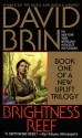 Brightness Reef - David Brin