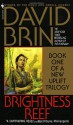 Brightness Reef - David Brin