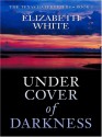 Under Cover of Darkness (The Texas Gatekeepers #1) (Steeple Hill Love Inspired Suspense) - Elizabeth White