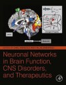 Neuronal Networks in Brain Function, CNS Disorders, and Therapeutics - Carl Faingold, Hal Blumenfeld