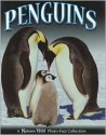 Penguins (A nature's wild- Photo fact collection) - Jane Parker Resnick, Paul Sweet