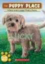 The Puppy Place #15: Lucky - Ellen Miles