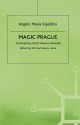 Magic Prague - Angelo Maria Ripellino, David Newton Marinelli, Michael Henry Heim