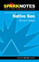 Native Son (SparkNotes Literature Guides) - SparkNotes Editors, Richard Wright