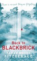 Back to Blackbrick - Sarah Moore Fitzgerald