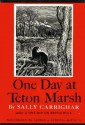 One Day at Teton Marsh - Sally Carrighar