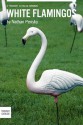 White Flamingos - Nathan Pensky