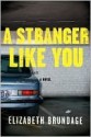 A Stranger Like You - Elizabeth Brundage