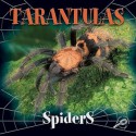 Tarantulas - Jason Cooper