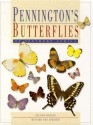 Pennington's Butterflies Of Southern Africa - BHB International