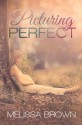 Picturing Perfect - Melissa Brown