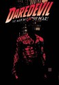 Daredevil, Vol. 4 - Brian Michael Bendis, Alex Maleev