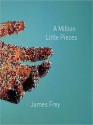 A Million Little Pieces (MP3 Book) - Oliver Wyman, James Frey