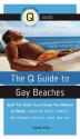 The Q Guide to Gay Beaches - David Allyn