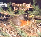 From Egg to Robin - Jan Kottke