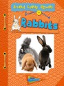 Rabbits - Charlotte Guillain