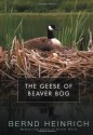 The Geese of Beaver Bog - Bernd Heinrich