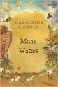 Many Waters - Madeleine L'Engle