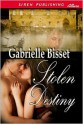 Stolen Destiny - Gabrielle Bisset