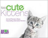 Too Cute Kittens: Animal Planet's Most Impossibly Adorable Kittens - Animal Planet