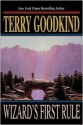 Wizard's First Rule - Terry Goodkind