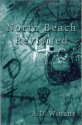 North Beach Revisited - A.D. Winans