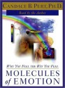 Molecules of Emotion: Why You Feel the Way You Feel (Audio) - Candace B. Pert