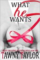 What He Wants - Tawny Taylor