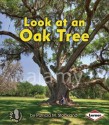 Look at an Oak Tree - Patricia M. Stockland, Catherine Ferne